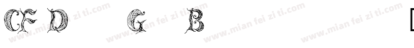 CF DinGr Boldttf字体转换